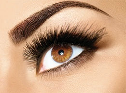 Brow Lamination & Tinting